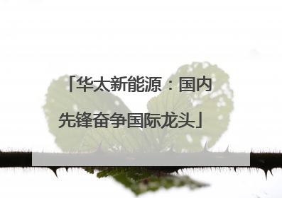 华太新能源：国内先锋奋争国际龙头