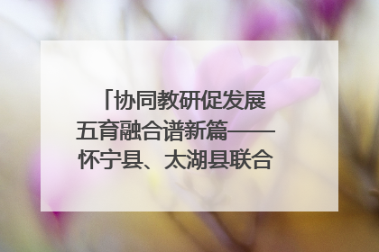 协同教研促发展 五育融合谱新篇——怀宁县、太湖县联合教研活动在月山镇中心学校成功举办