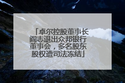 卓尔控股董事长阎志退出众邦银行董事会，多名股东股权遭司法冻结