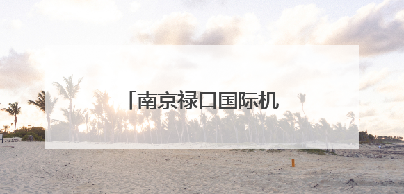 南京禄口国际机场值机有新变化