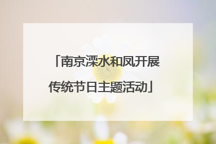 南京溧水和凤开展传统节日主题活动