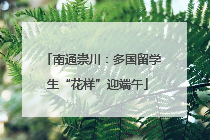 南通崇川：多国留学生“花样”迎端午