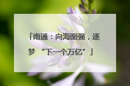 南通：向海图强，逐梦 “下一个万亿”