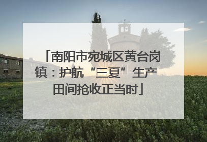 南阳市宛城区黄台岗镇：护航“三夏”生产 田间抢收正当时