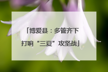 博爱县：多管齐下 打响“三夏”攻坚战