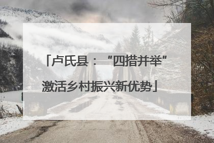 卢氏县：“四措并举”激活乡村振兴新优势