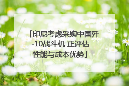 印尼考虑采购中国歼-10战斗机 正评估性能与成本优势