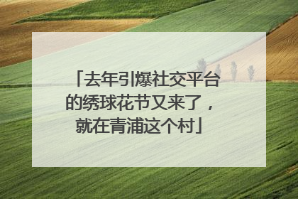 去年引爆社交平台的绣球花节又来了，就在青浦这个村