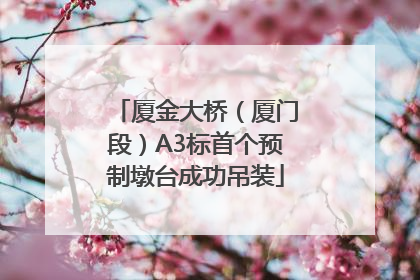厦金大桥（厦门段）A3标首个预制墩台成功吊装
