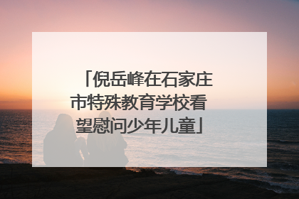 倪岳峰在石家庄市特殊教育学校看望慰问少年儿童