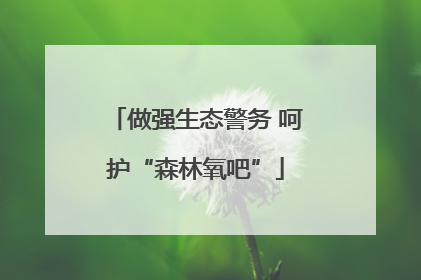 做强生态警务 呵护“森林氧吧”