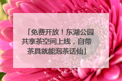 免费开放！东湖公园共享茶空间上线，自带茶具就能泡茶话仙