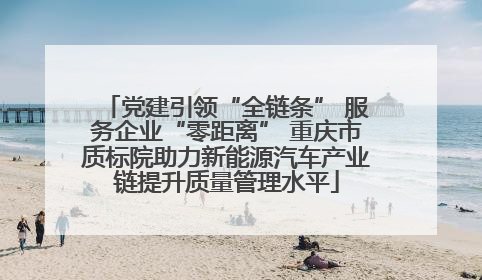 党建引领“全链条” 服务企业“零距离” 重庆市质标院助力新能源汽车产业链提升质量管理水平