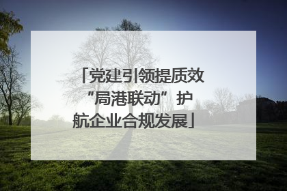 党建引领提质效 “局港联动”护航企业合规发展
