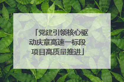 党建引领核心驱动庆章高速一标段项目高质量推进