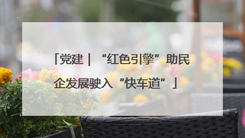 党建｜“红色引擎”助民企发展驶入“快车道”