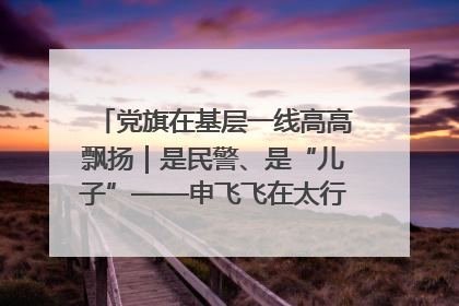党旗在基层一线高高飘扬｜是民警、是“儿子”——申飞飞在太行山中的一线坚守