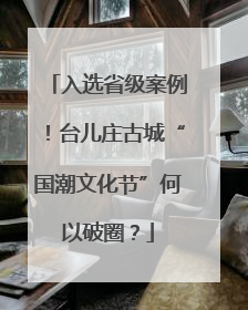 入选省级案例！台儿庄古城“国潮文化节”何以破圈？