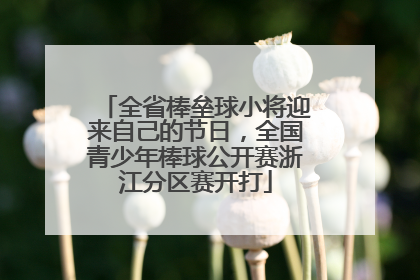 全省棒垒球小将迎来自己的节日，全国青少年棒球公开赛浙江分区赛开打