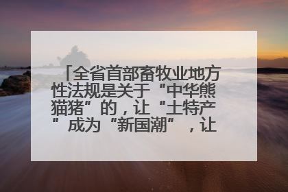 全省首部畜牧业地方性法规是关于“中华熊猫猪”的，让“土特产”成为“新国潮”，让“农产品”升格为“城市IP”