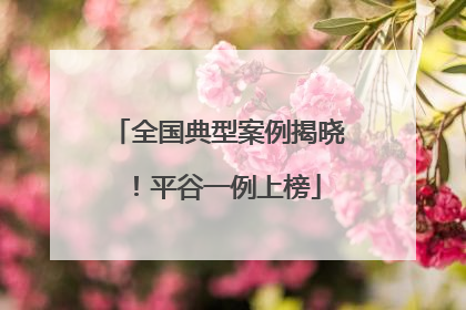 全国典型案例揭晓！平谷一例上榜