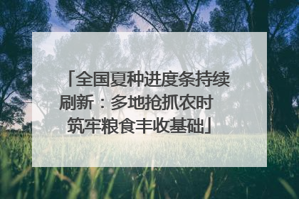 全国夏种进度条持续刷新：多地抢抓农时 筑牢粮食丰收基础