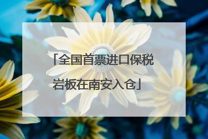 全国首票进口保税岩板在南安入仓