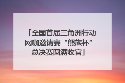 全国首届三角洲行动网咖邀请赛“熊族杯”总决赛圆满收官