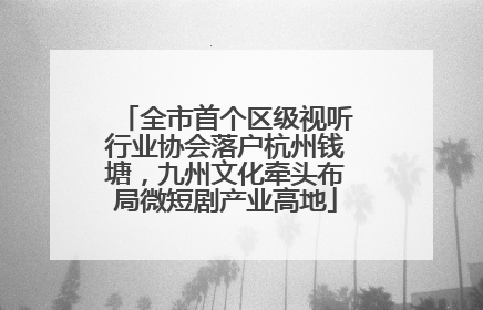 全市首个区级视听行业协会落户杭州钱塘，九州文化牵头布局微短剧产业高地