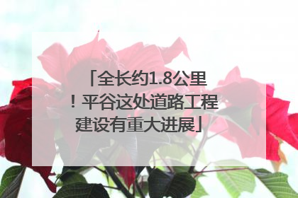 全长约1.8公里！平谷这处道路工程建设有重大进展