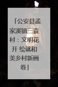公安县孟家溪镇三袁村：文明花开 绘就和美乡村新画卷