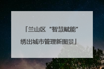 兰山区“智慧赋能”绣出城市管理新图景