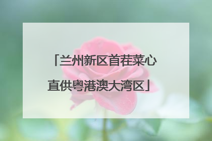 兰州新区首茬菜心直供粤港澳大湾区