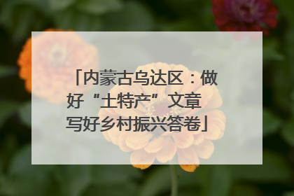 内蒙古乌达区：做好“土特产”文章 写好乡村振兴答卷