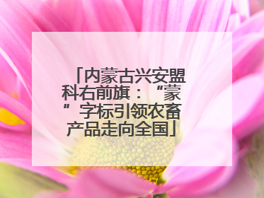 内蒙古兴安盟科右前旗：“蒙”字标引领农畜产品走向全国