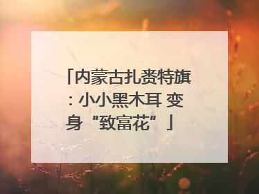 内蒙古扎赉特旗：小小黑木耳 变身“致富花”