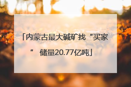 内蒙古最大碱矿找“买家” 储量20.77亿吨