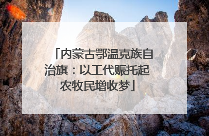 内蒙古鄂温克族自治旗：以工代赈托起农牧民增收梦
