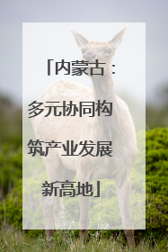 内蒙古：多元协同构筑产业发展新高地