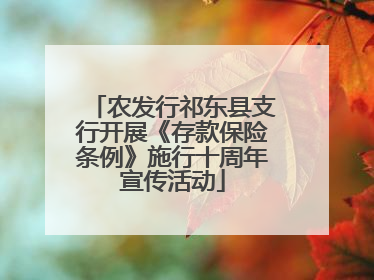 农发行祁东县支行开展《存款保险条例》施行十周年宣传活动
