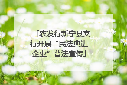 农发行新宁县支行开展“民法典进企业”普法宣传