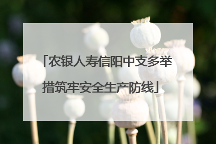农银人寿信阳中支多举措筑牢安全生产防线