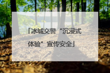 冰城交警“沉浸式体验”宣传安全