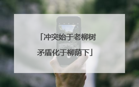 冲突始于老柳树 矛盾化于柳荫下