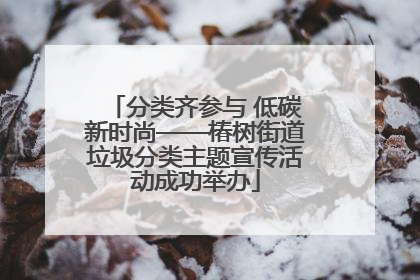 分类齐参与 低碳新时尚——椿树街道垃圾分类主题宣传活动成功举办