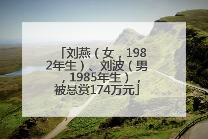 刘燕（女，1982年生）、刘波（男，1985年生），被悬赏174万元