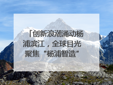 创新浪潮涌动杨浦滨江，全球目光聚焦“杨浦智造”｜相约复兴岛