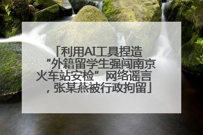 利用AI工具捏造 “外籍留学生强闯南京火车站安检”网络谣言，张某燕被行政拘留