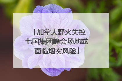 加拿大野火失控 七国集团峰会场地或面临烟雾风险