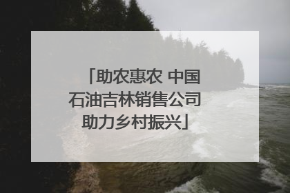 助农惠农 中国石油吉林销售公司助力乡村振兴